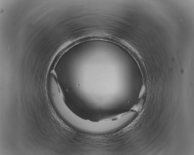 X0000083661029200703051746