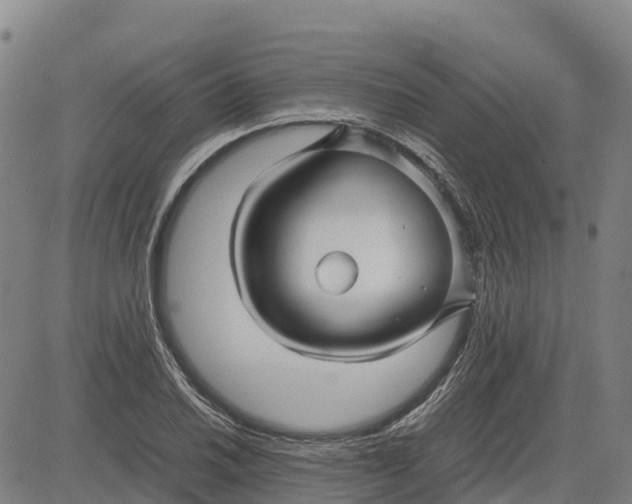 X0000083661030200703051746