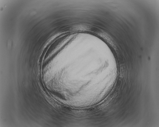 X0000083661031200703051746