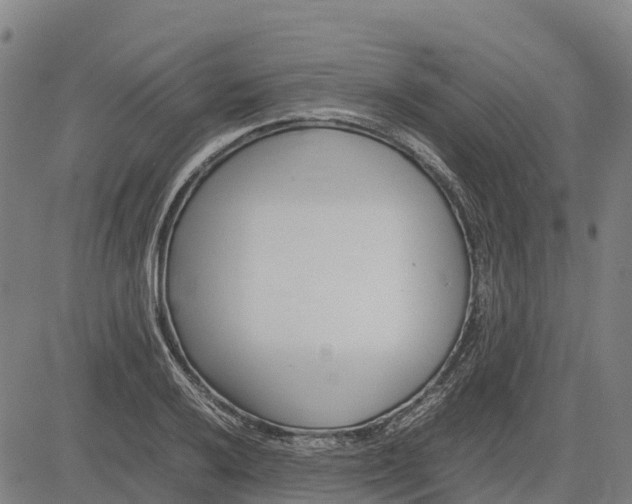 X0000083661032200703051746