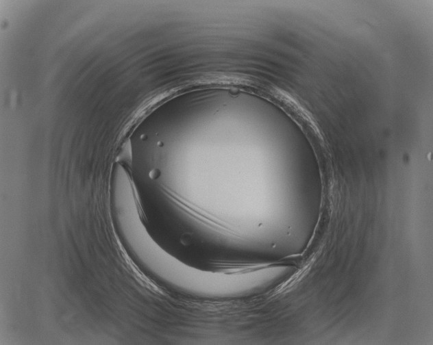 X0000083661033200703051746