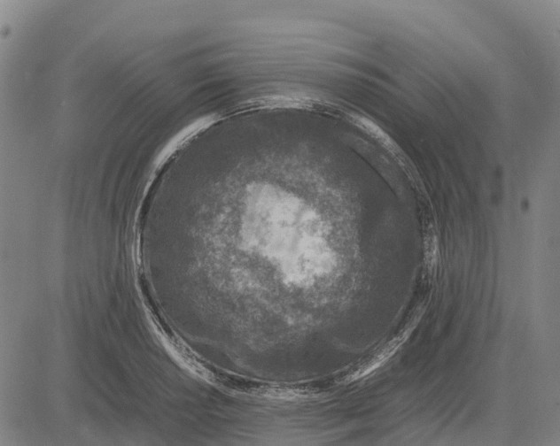 X0000083661034200703051746