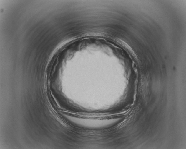 X0000083661035200703051746