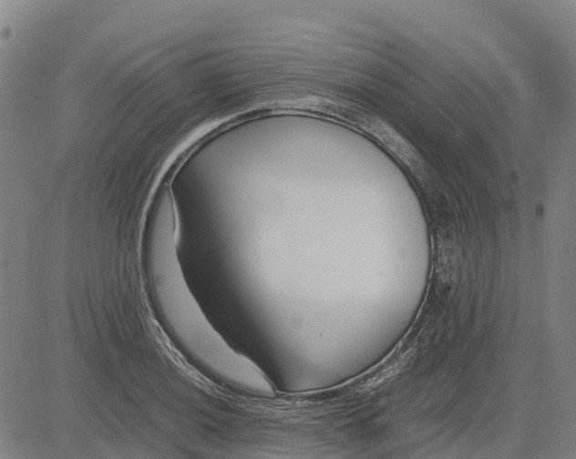 X0000083661036200703051746