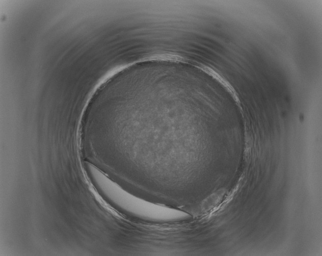 X0000083661037200703051747