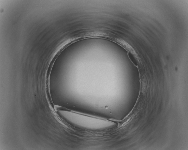 X0000083661039200703051747