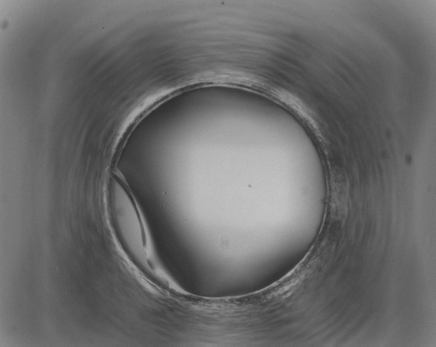 X0000083661040200703051747