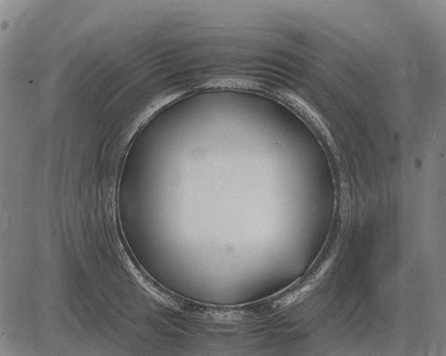 X0000083661041200703051747