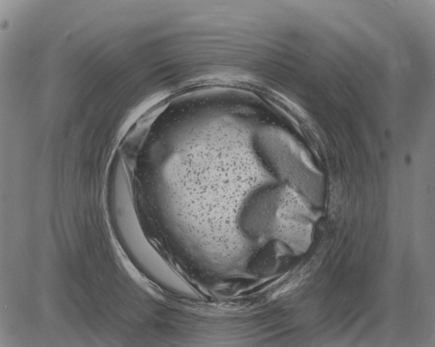 X0000083661042200703051747