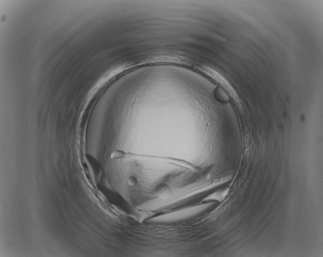 X0000083661043200703051747