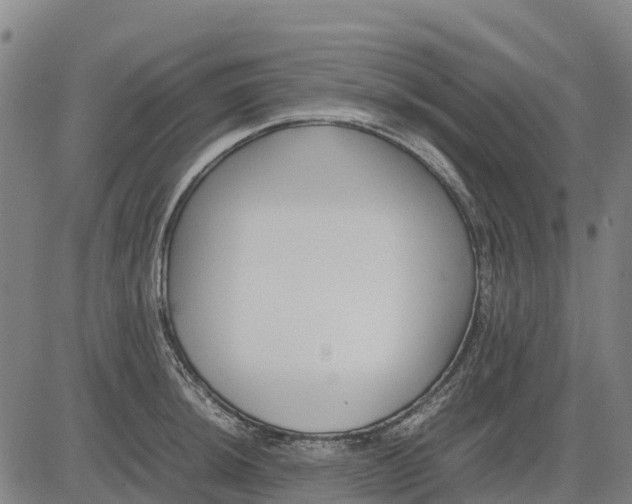 X0000083661044200703051747