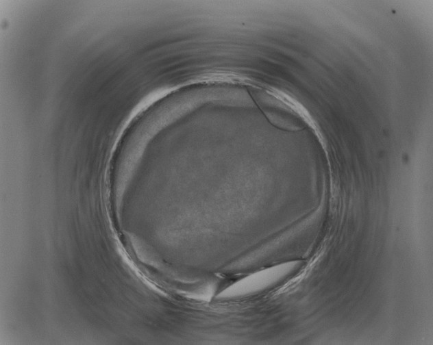 X0000083661045200703051747