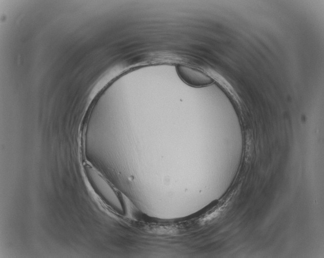 X0000083661047200703051747