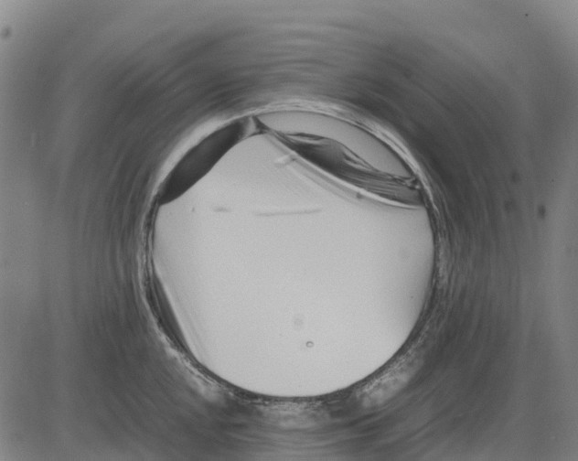 X0000083661048200703051747