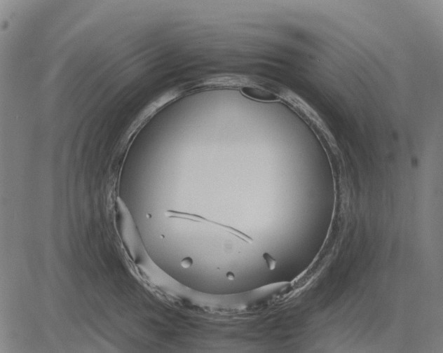 X0000083661049200703051747