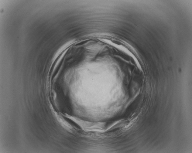 X0000083661050200703051747