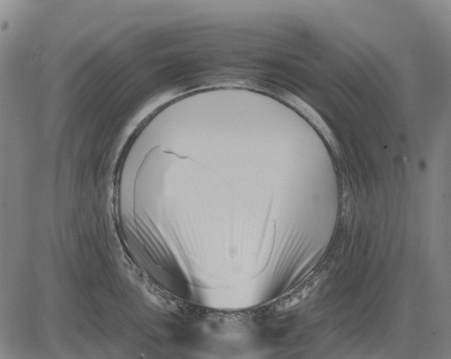 X0000083661051200703051747