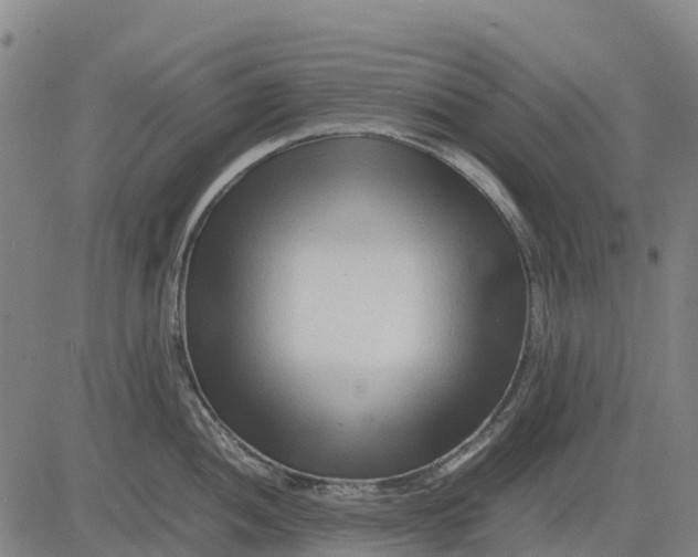 X0000083661052200703051747