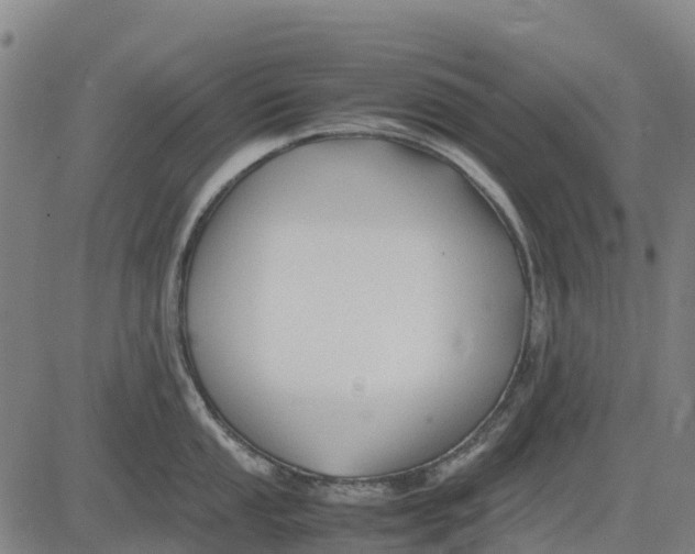 X0000083661053200703051747