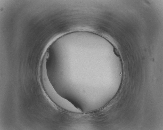 X0000083661056200703051747