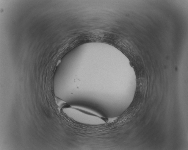 X0000083661057200703051746