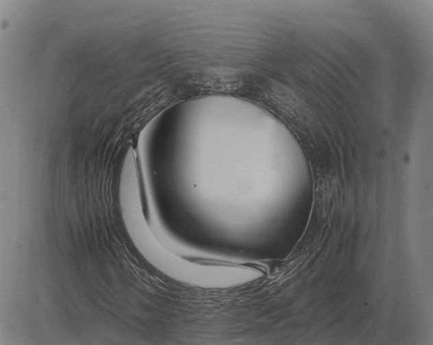 X0000083661058200703051746