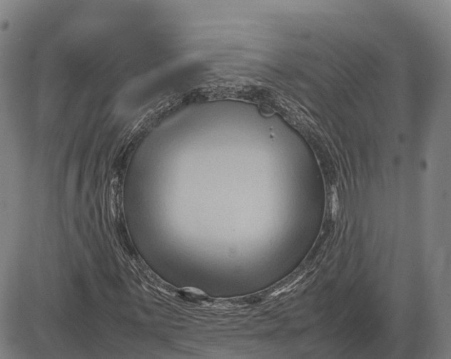 X0000083661059200703051746