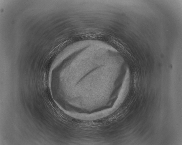 X0000083661060200703051746