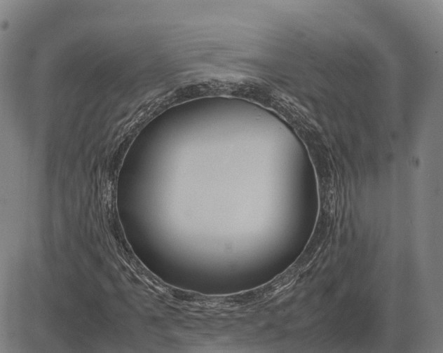 X0000083661061200703051746