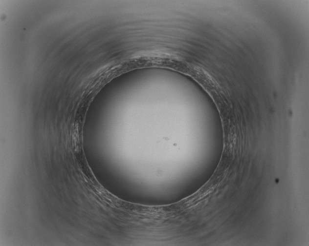 X0000083661062200703051746