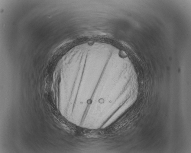 X0000083661063200703051746