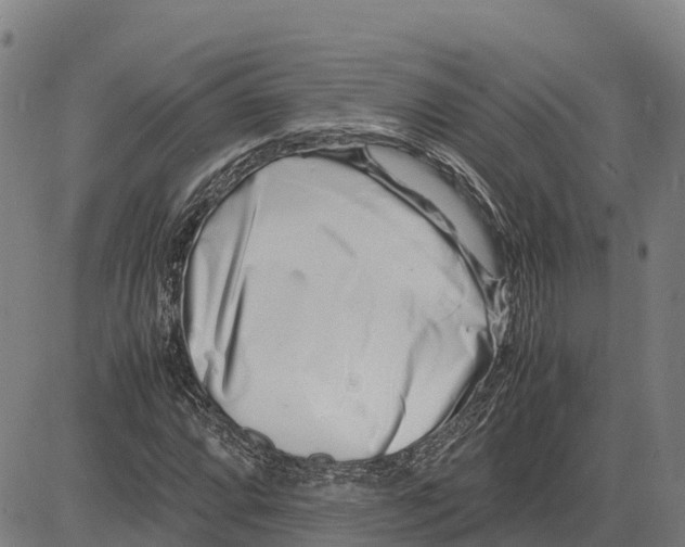 X0000083661064200703051746