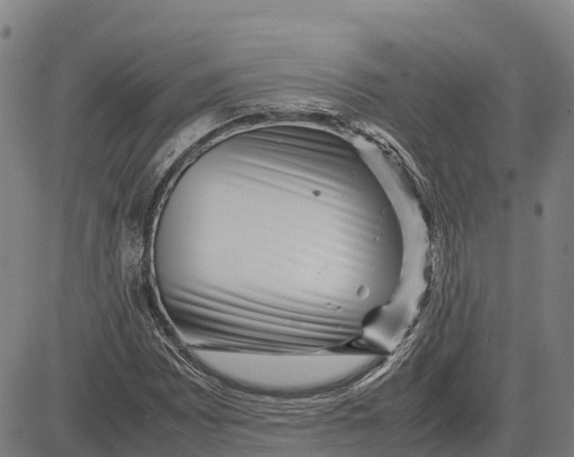 X0000083661065200703051746