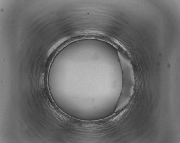 X0000083661066200703051746