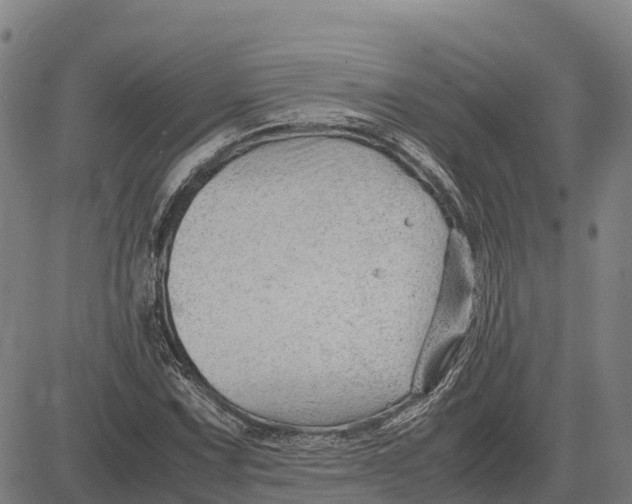 X0000083661067200703051746