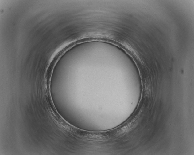 X0000083661070200703051746