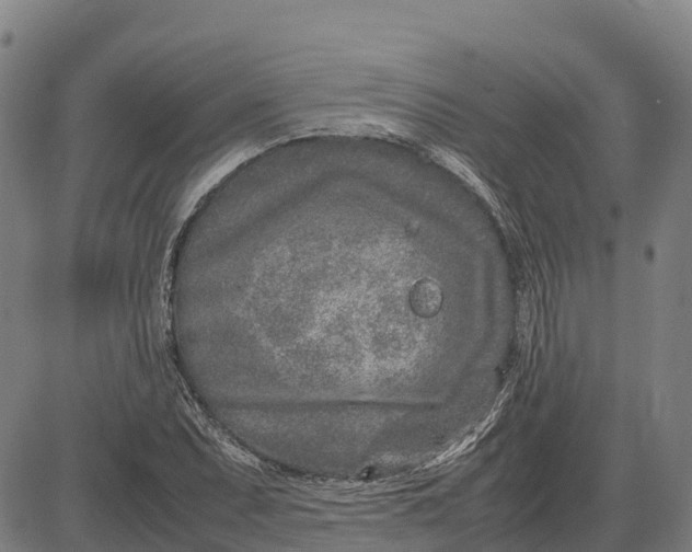 X0000083661071200703051746