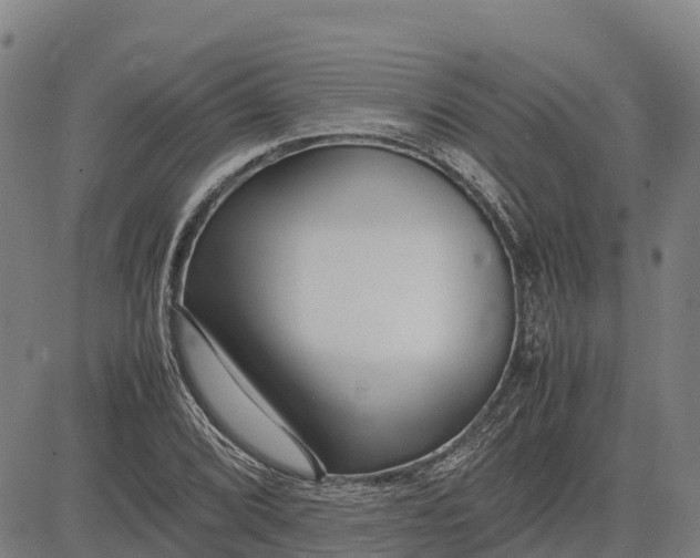 X0000083661072200703051746