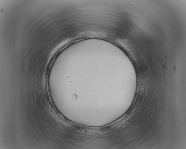 X0000083661074200703051746