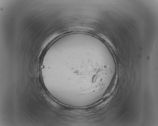 X0000083661075200703051746