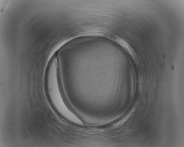 X0000083661077200703051746