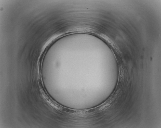 X0000083661078200703051746