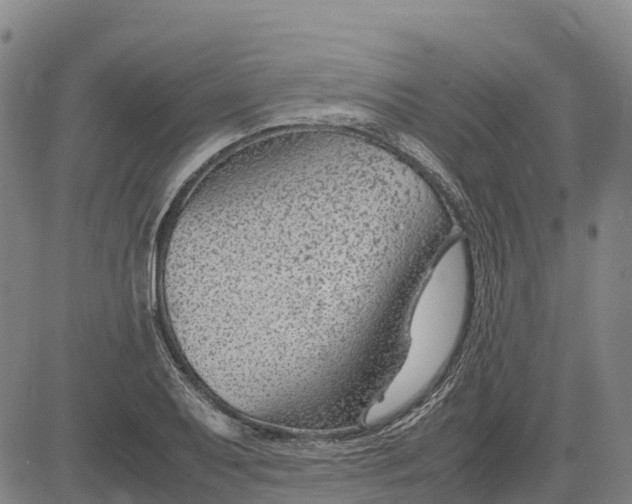 X0000083661079200703051746