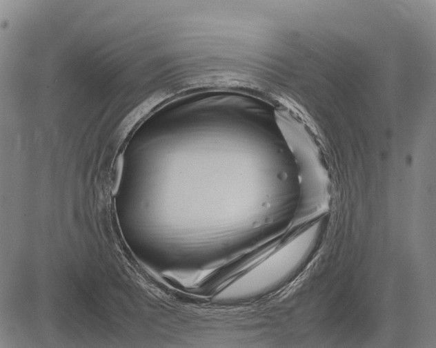 X0000083661081200703051746