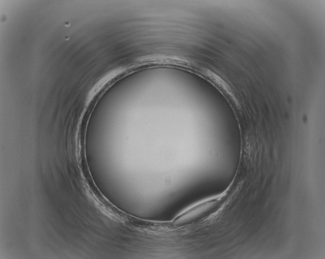 X0000083661082200703051746