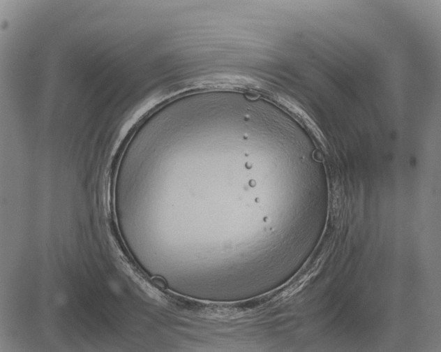 X0000083661083200703051746