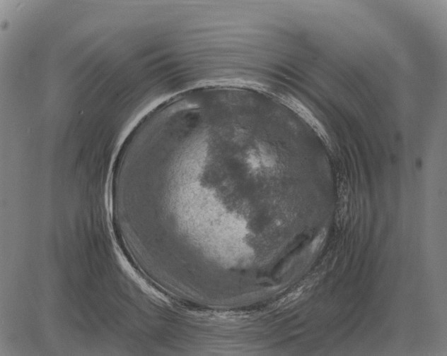 X0000083661084200703051746