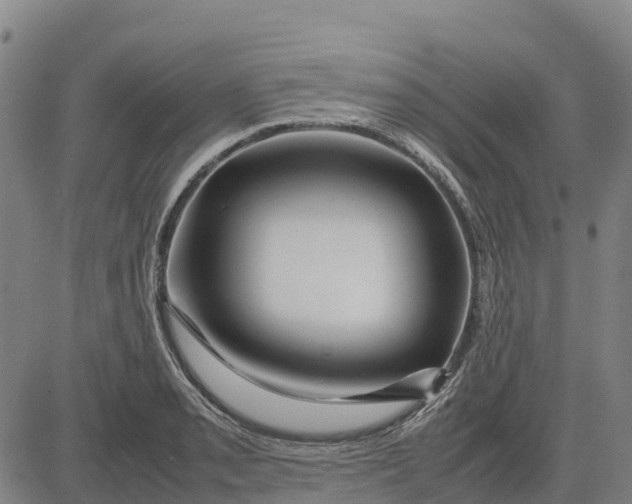 X0000083661085200703051746