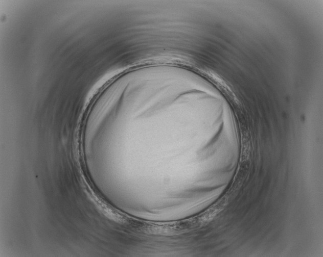 X0000083661086200703051746