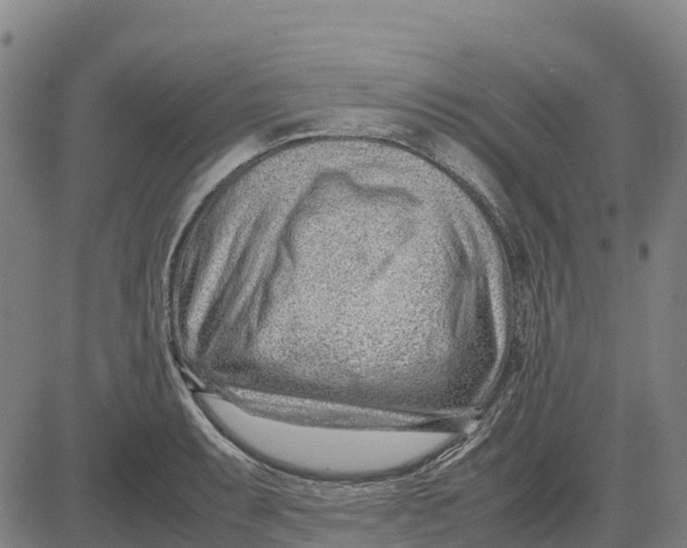 X0000083661087200703051746